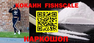 дмт Славгород