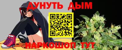 дмт Славгород