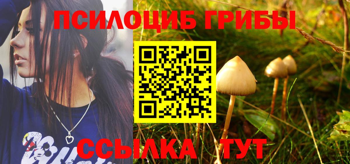 Галлюциногенные грибы мицелий Новороссийск